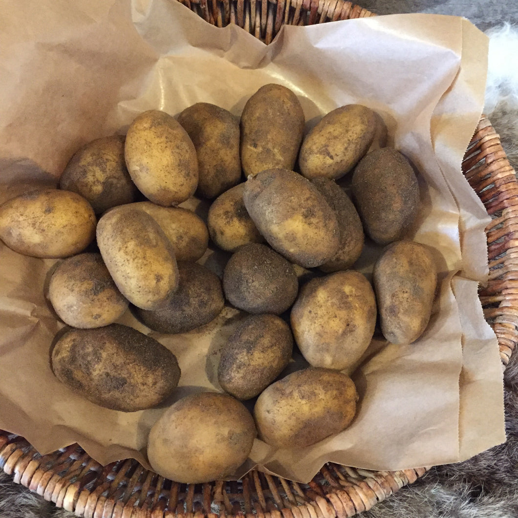 Kartofler 1 kg, økologiske